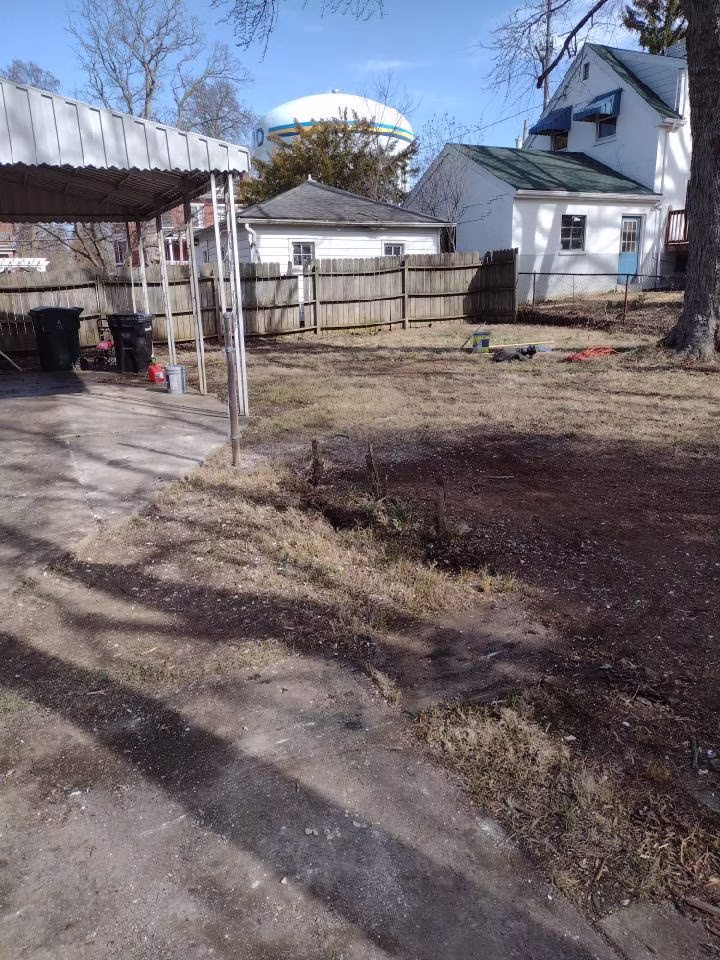 Junk Removal Before
